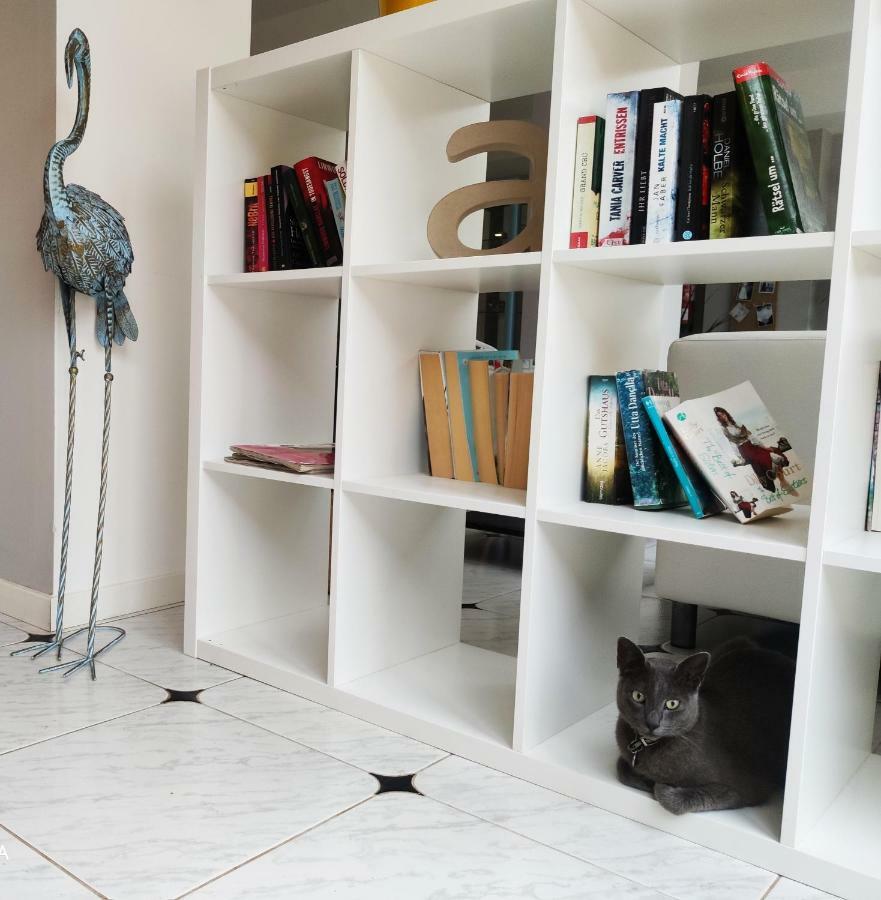 Apartamentos Sureda Canyamel  Esterno foto